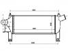 Intercooler Intercooler:14461-EB360