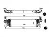 Intercooler:13620-55P00